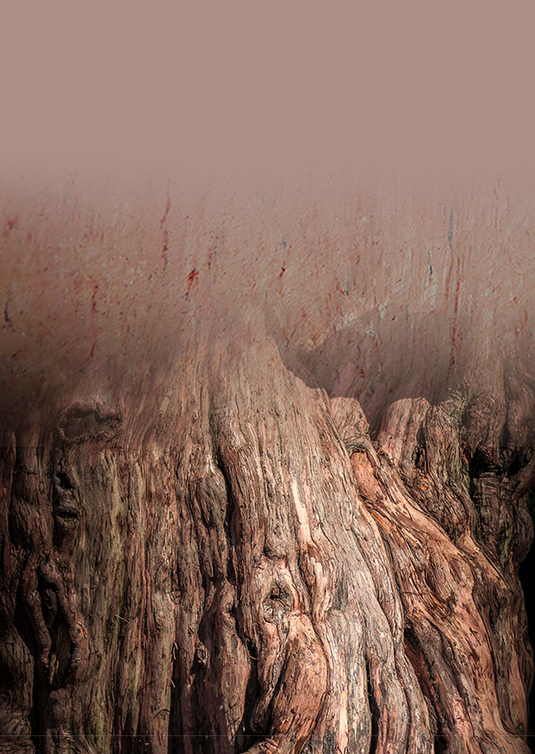 Deep Forest — Decoton pigment