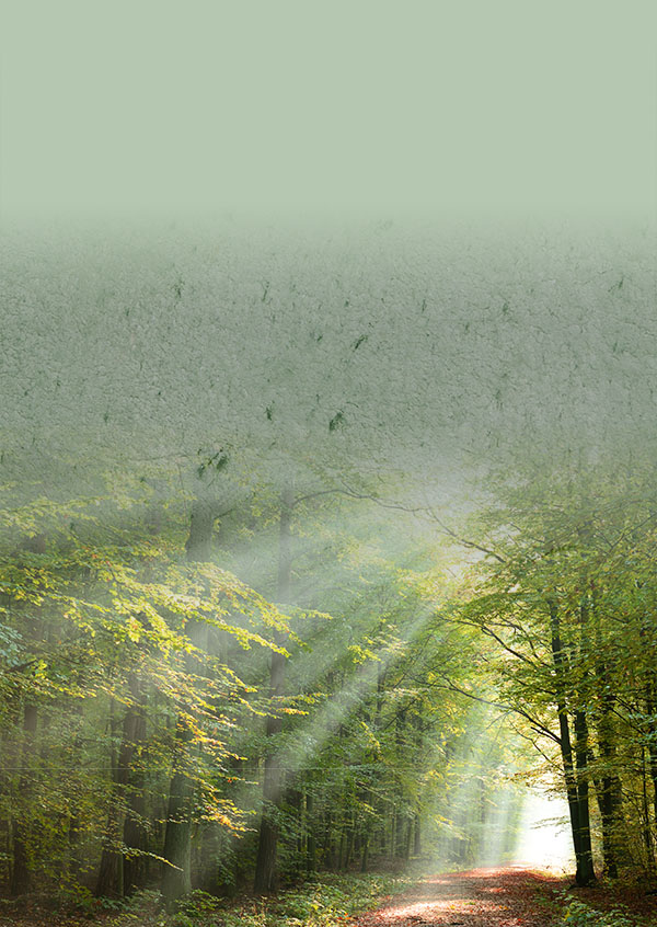 Green Dream — Decoton pigment