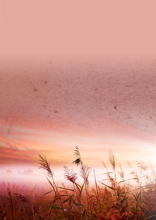 Red Emotion — Decoton pigment
