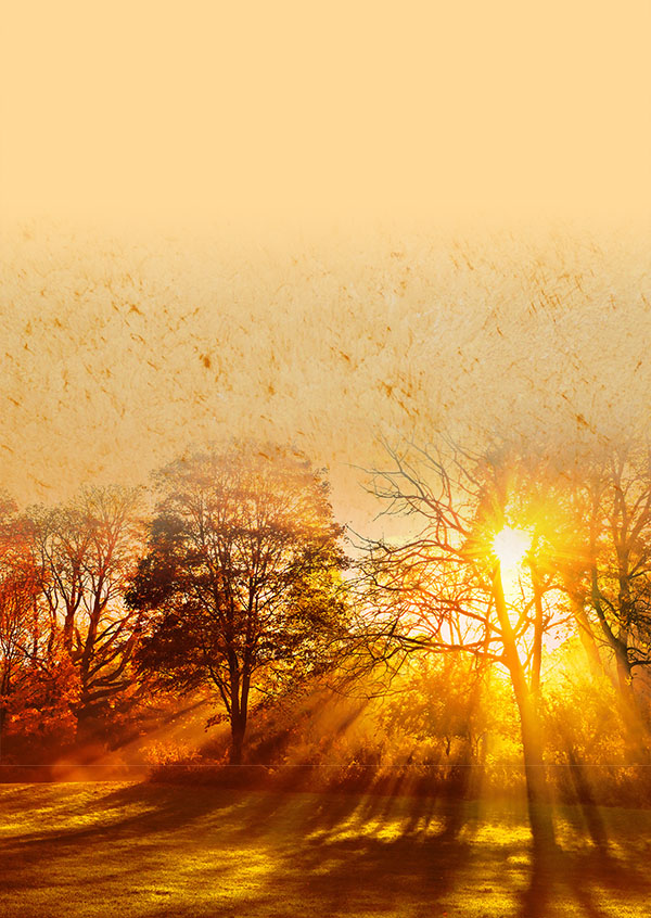 Rusty Sun — Decoton pigment